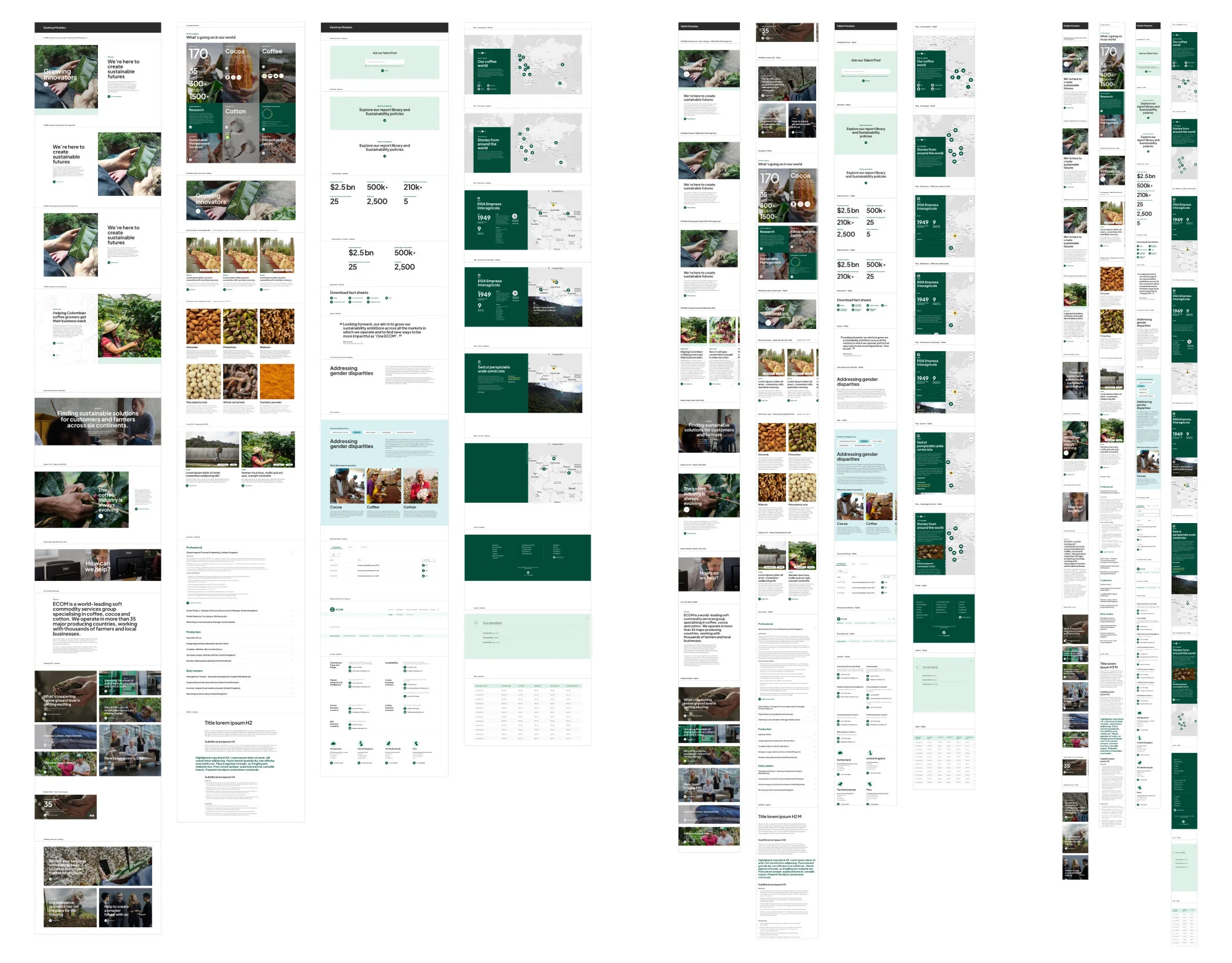 ECOM — Case Study - Modular CMS component library: Flexible, modular block architecture enabling rapid page composition without sacrificing design consistency.