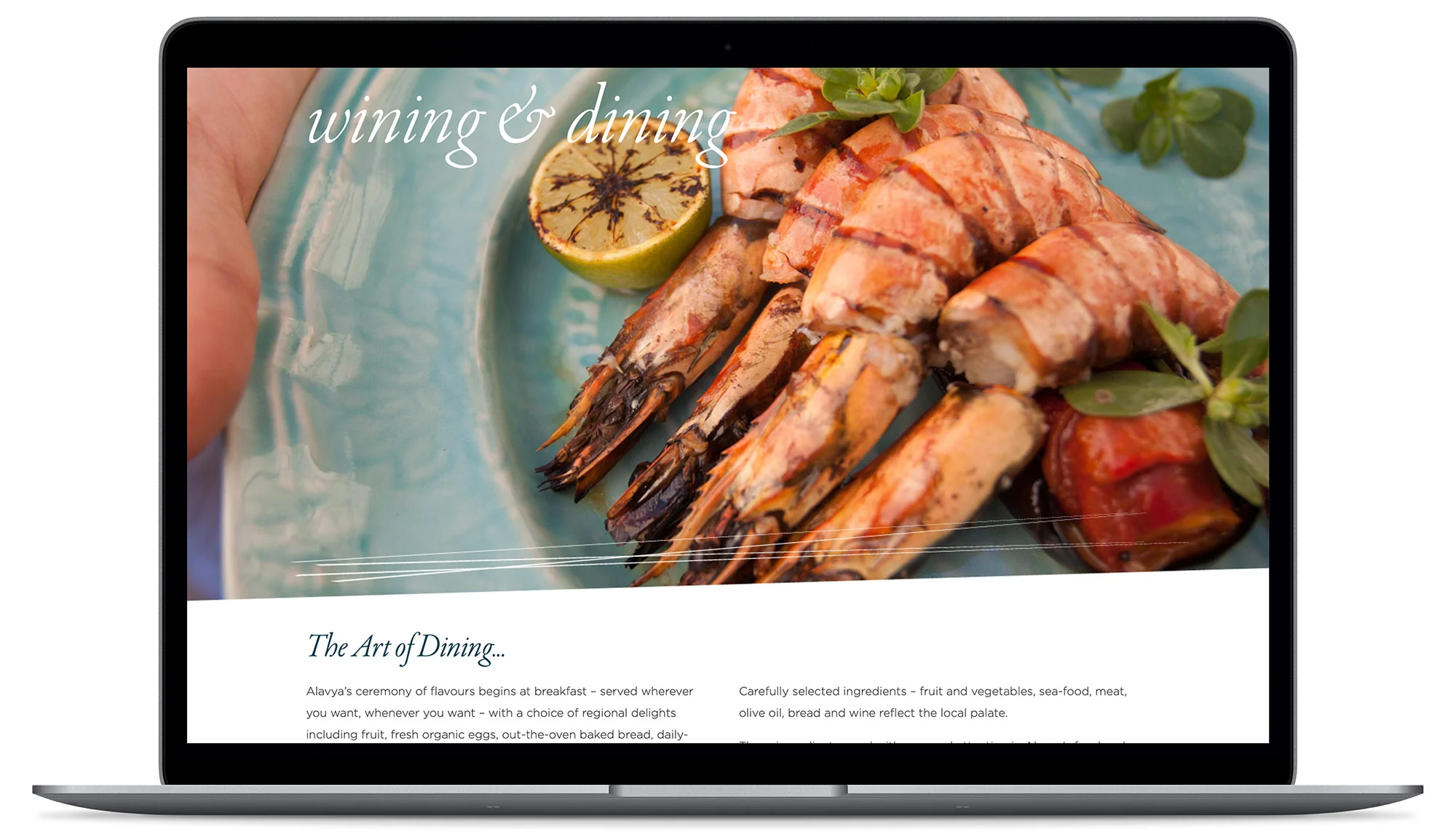 ALAVYA - Visual identity and design sample by Ediz Pinar