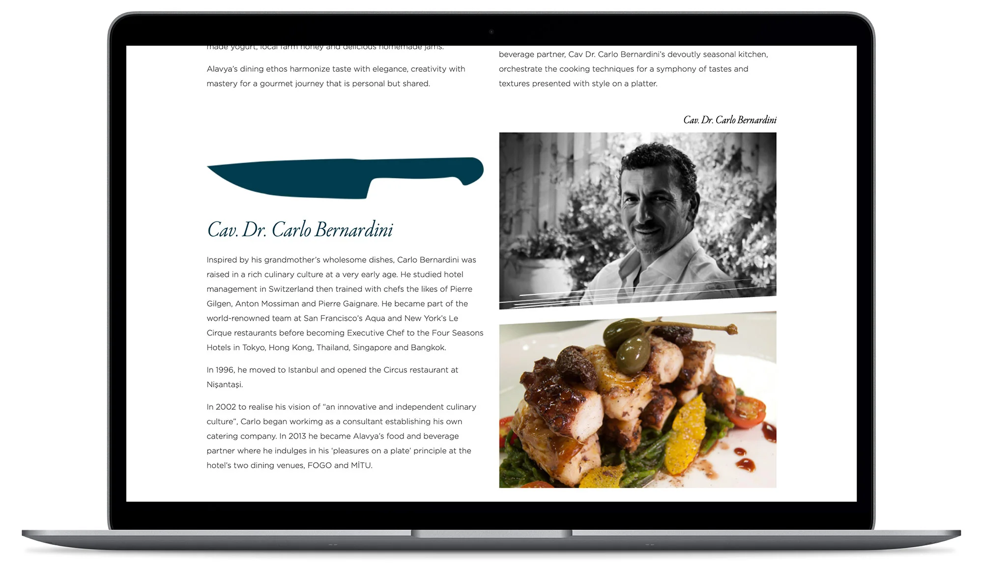 ALAVYA - Visual identity and design sample by Ediz Pinar