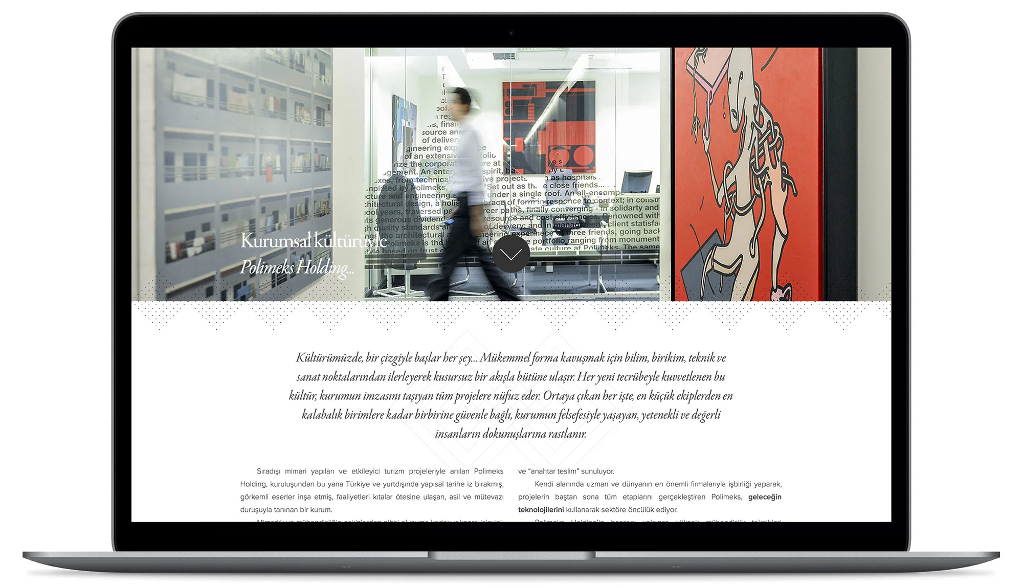 Polimeks - Visual identity and design sample by Ediz Pinar