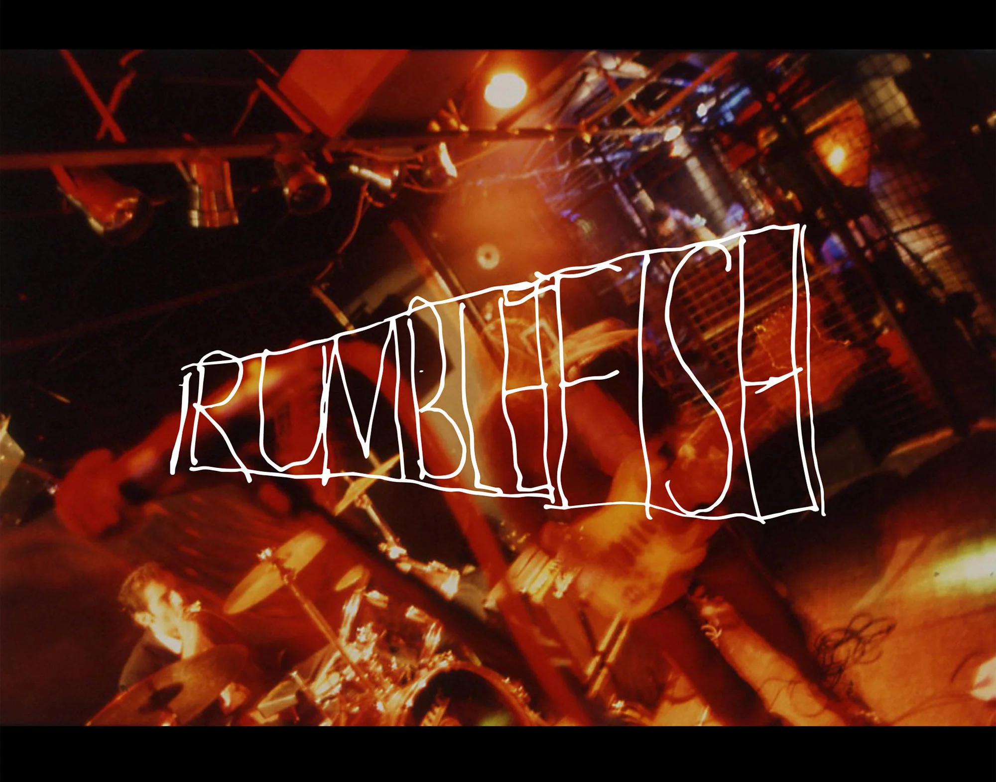 Rumblefish - Visual identity and design sample by Ediz Pinar
