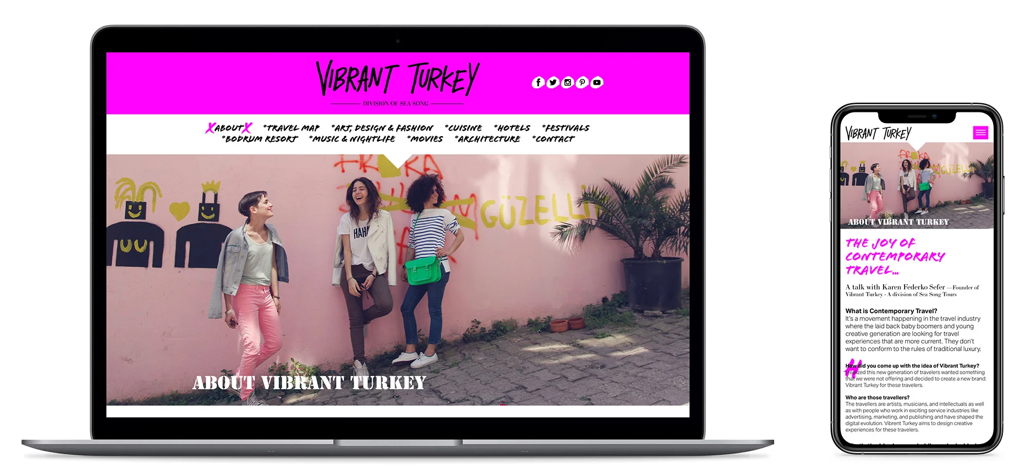 Vibrant Turkey Website - Visual identity and design sample by Ediz Pinar
