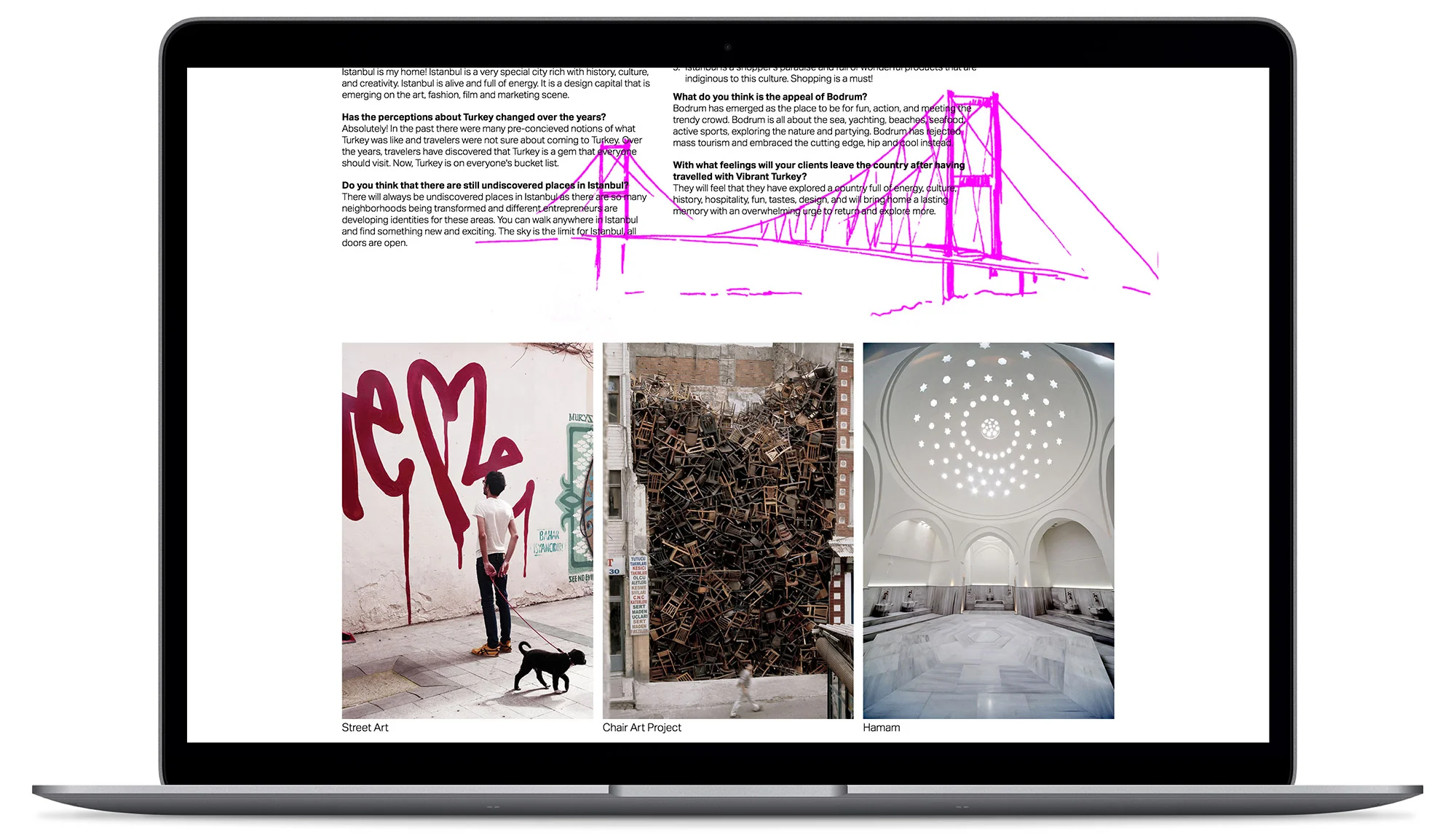 Vibrant Turkey Website - Visual identity and design sample by Ediz Pinar