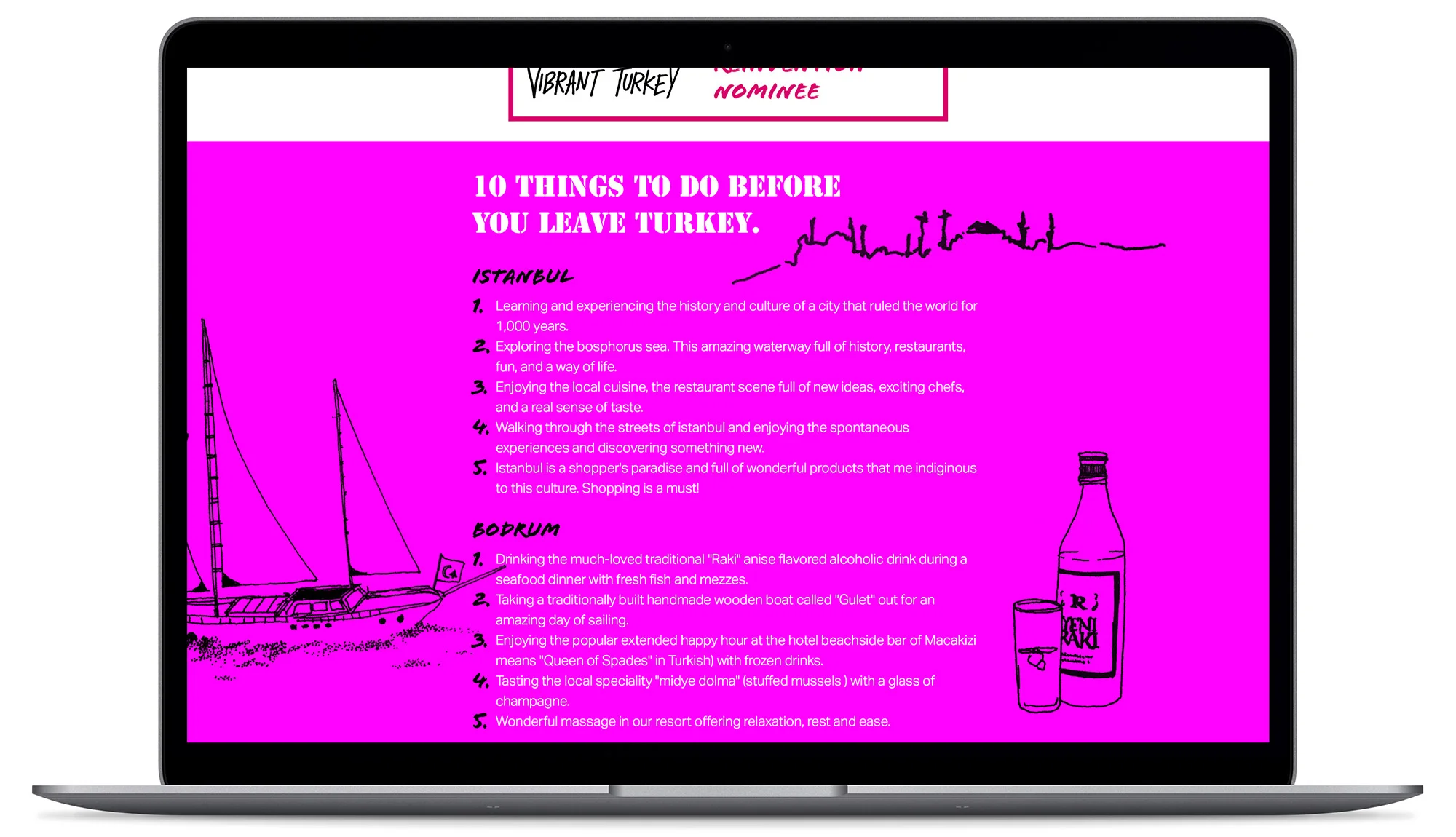 Vibrant Turkey Website - Visual identity and design sample by Ediz Pinar
