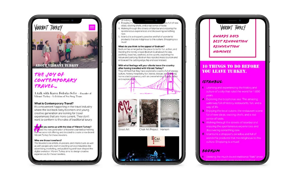 Vibrant Turkey Website project thumbnail